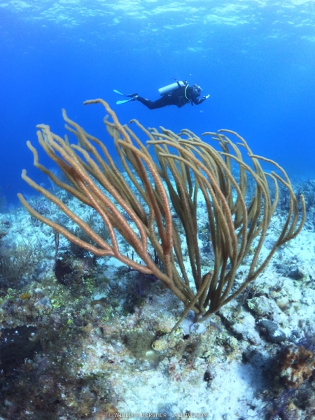 DCIM\100GOPRO\GOPR0221.JPG