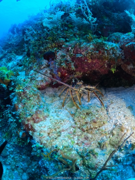 DCIM\100GOPRO\GOPR0209.JPG