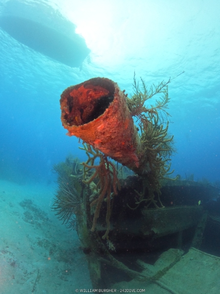 DCIM\100GOPRO\GOPR0277.JPG