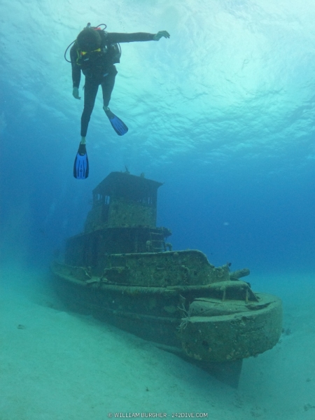 DCIM\100GOPRO\GOPR0272.JPG