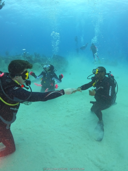 DCIM\100GOPRO\GOPR0291.JPG