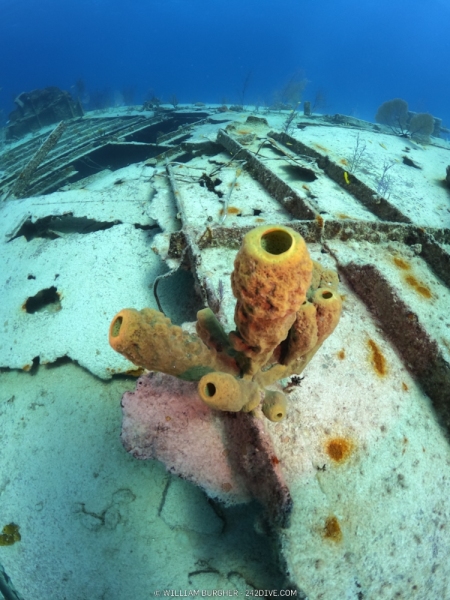 DCIM\100GOPRO\GOPR0482.JPG
