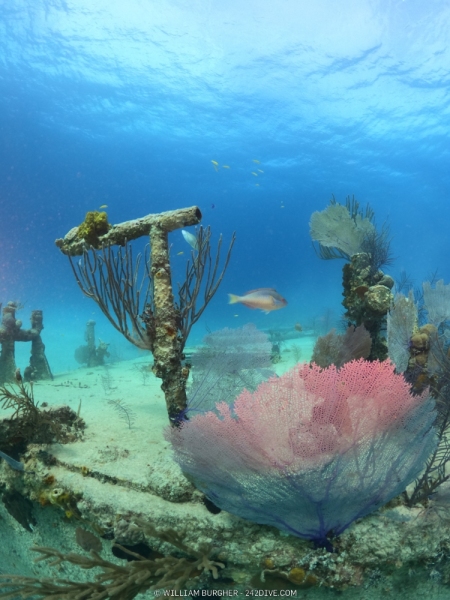 DCIM\100GOPRO\GOPR0475.JPG