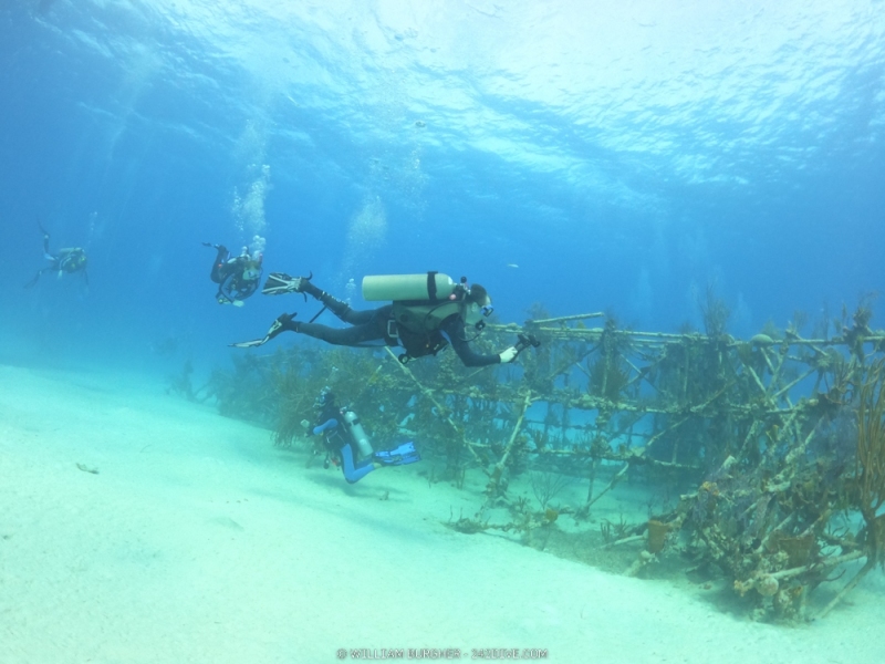 DCIM\100GOPRO\GOPR0468.JPG