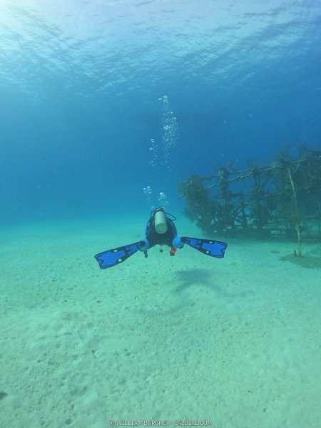 DCIM\100GOPRO\GOPR0463.JPG