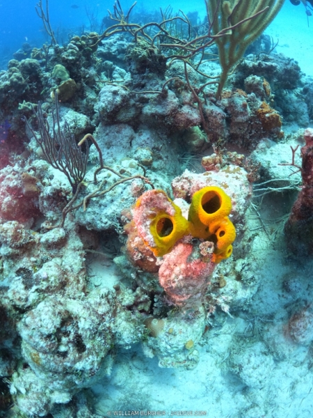 DCIM\100GOPRO\GOPR0456.JPG