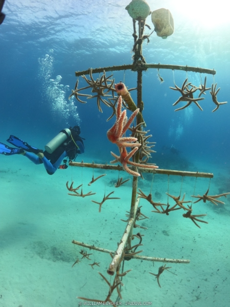 DCIM\100GOPRO\GOPR0450.JPG