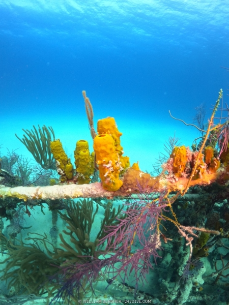DCIM\100GOPRO\GOPR0417.JPG
