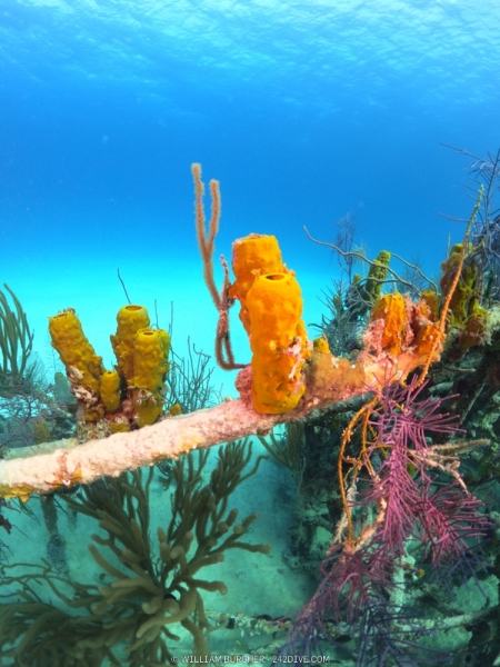 DCIM\100GOPRO\GOPR0416.JPG