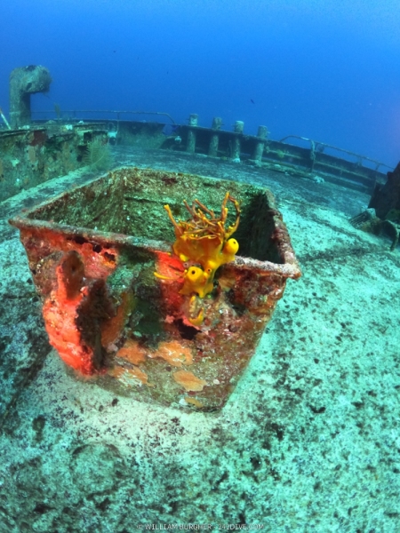 DCIM\100GOPRO\GOPR0573.JPG