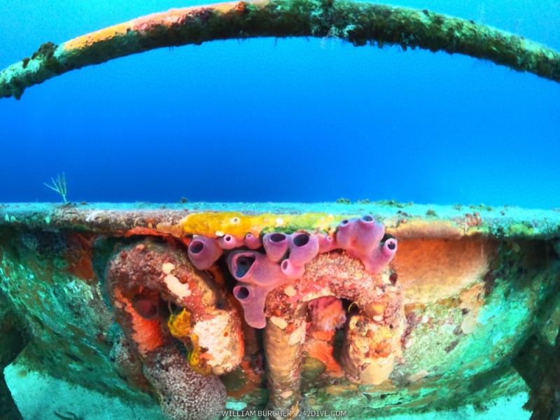 DCIM\100GOPRO\GOPR0562.JPG
