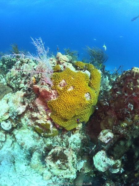 DCIM\100GOPRO\GOPR0698.JPG