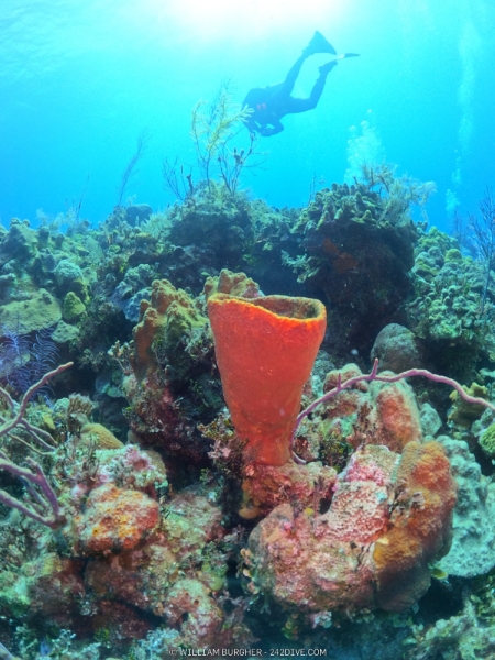 DCIM\100GOPRO\GOPR0690.JPG