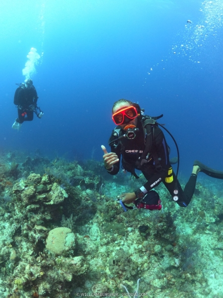 DCIM\100GOPRO\GOPR0687.JPG