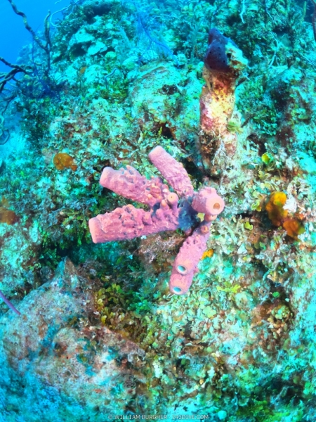 DCIM\100GOPRO\GOPR0679.JPG