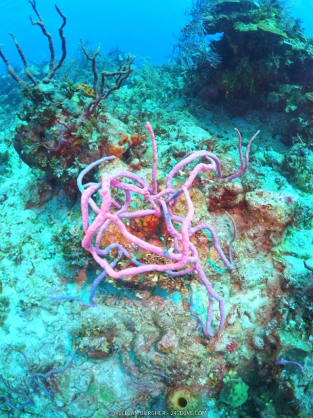 DCIM\100GOPRO\GOPR0675.JPG