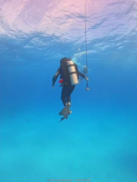 DCIM\100GOPRO\GOPR0740.JPG