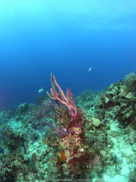 DCIM\100GOPRO\GOPR0672.JPG