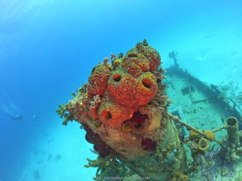 DCIM\100GOPRO\GOPR0726.JPG