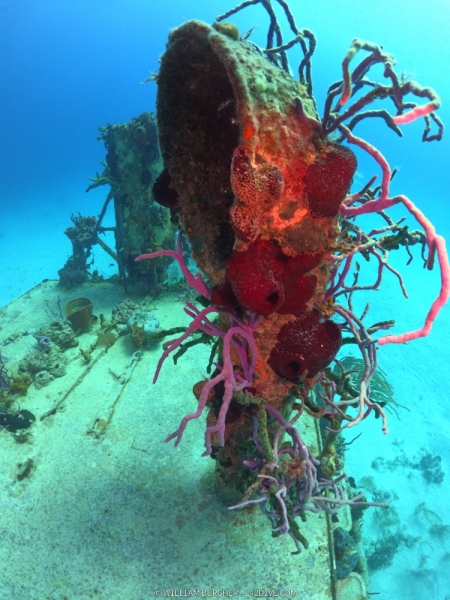 DCIM\100GOPRO\GOPR0725.JPG