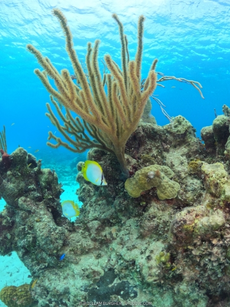 DCIM\100GOPRO\GOPR0930.JPG