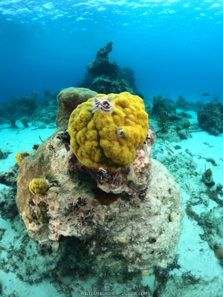 DCIM\100GOPRO\GOPR0929.JPG