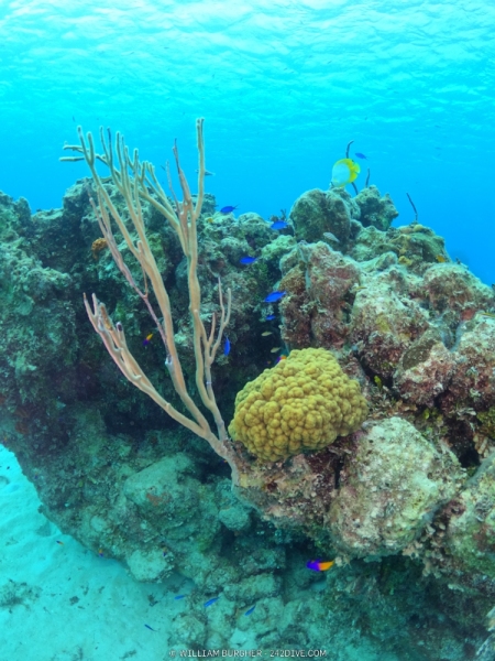 DCIM\100GOPRO\GOPR0914.JPG
