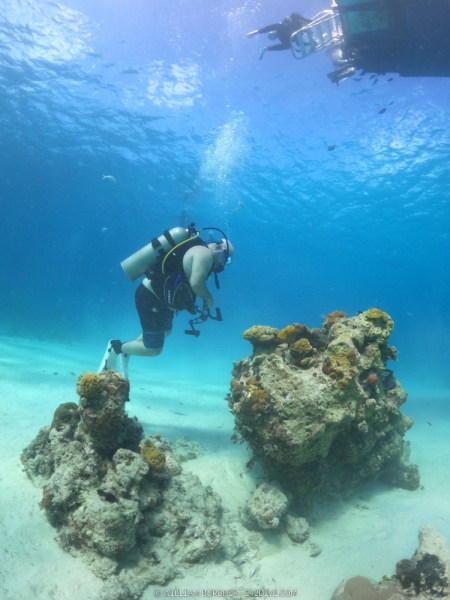 DCIM\100GOPRO\GOPR0984.JPG