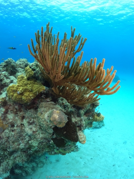 DCIM\100GOPRO\GOPR0912.JPG