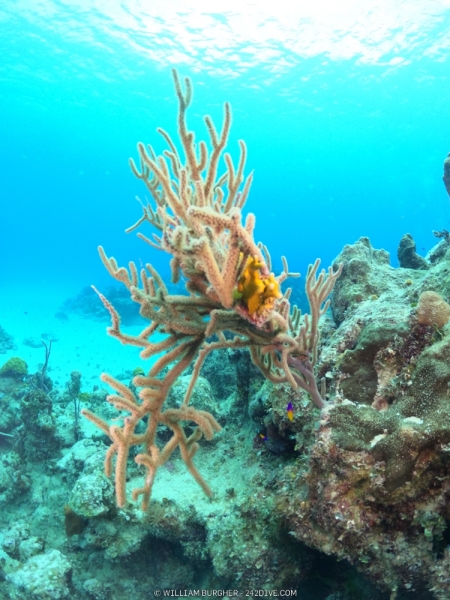 DCIM\100GOPRO\GOPR0905.JPG