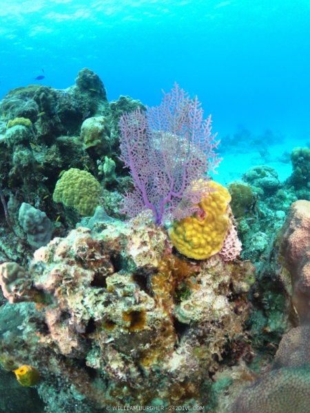 DCIM\100GOPRO\GOPR0904.JPG