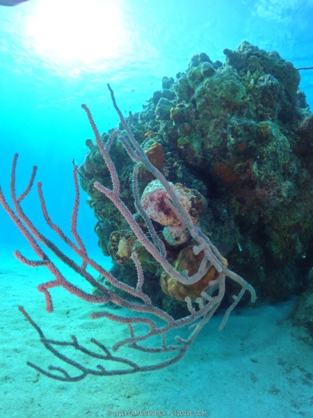 DCIM\100GOPRO\GOPR0899.JPG