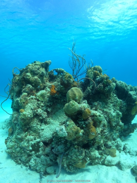 DCIM\100GOPRO\GOPR0967.JPG