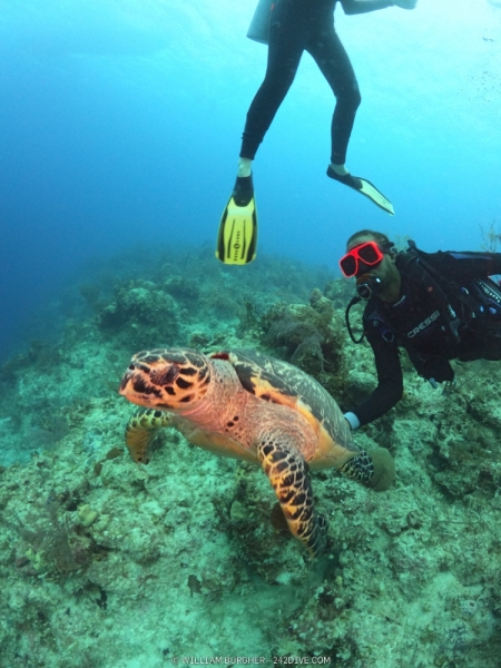 DCIM\100GOPRO\GOPR0874.JPG