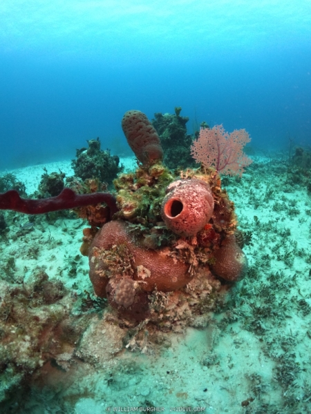 DCIM\100GOPRO\GOPR0823.JPG