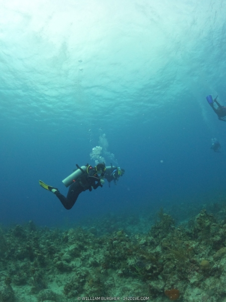 DCIM\100GOPRO\GOPR0818.JPG