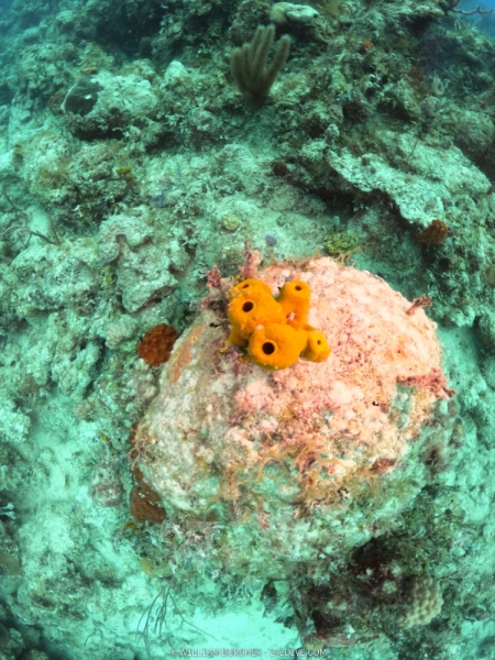 DCIM\100GOPRO\GOPR0813.JPG