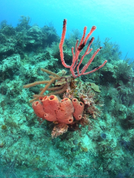 DCIM\100GOPRO\GOPR0794.JPG