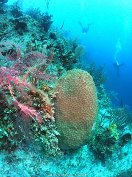 DCIM\100GOPRO\GOPR0789.JPG