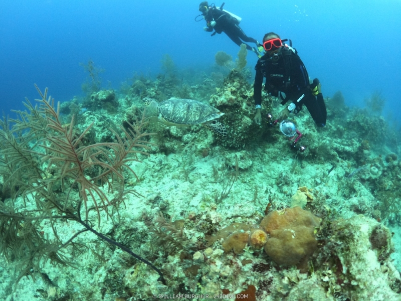 DCIM\100GOPRO\GOPR0870.JPG