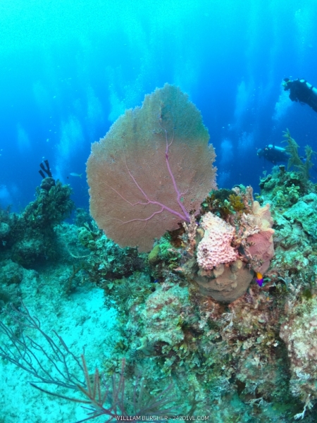 DCIM\100GOPRO\GOPR0776.JPG