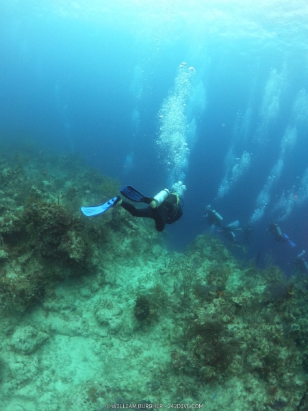 DCIM\100GOPRO\GOPR0774.JPG