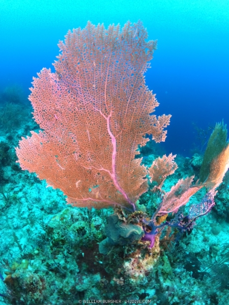 DCIM\100GOPRO\GOPR0767.JPG