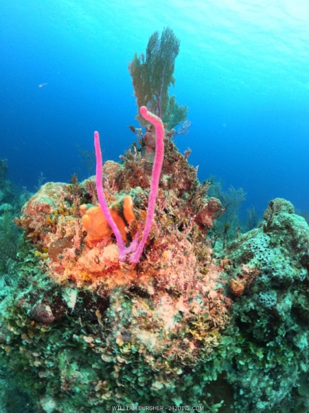 DCIM\100GOPRO\GOPR0766.JPG
