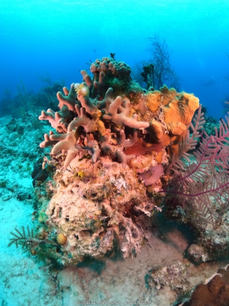 DCIM\100GOPRO\GOPR0761.JPG
