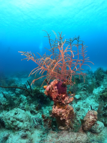 DCIM\100GOPRO\GOPR0759.JPG