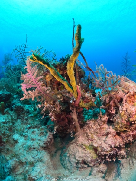 DCIM\100GOPRO\GOPR0757.JPG