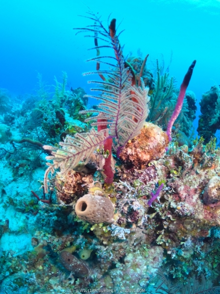 DCIM\100GOPRO\GOPR0755.JPG