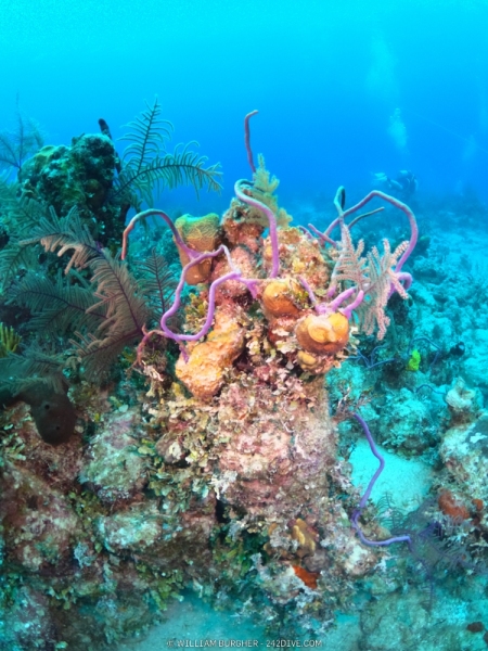 DCIM\100GOPRO\GOPR0754.JPG