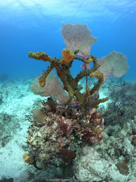 DCIM\100GOPRO\GOPR1203.JPG